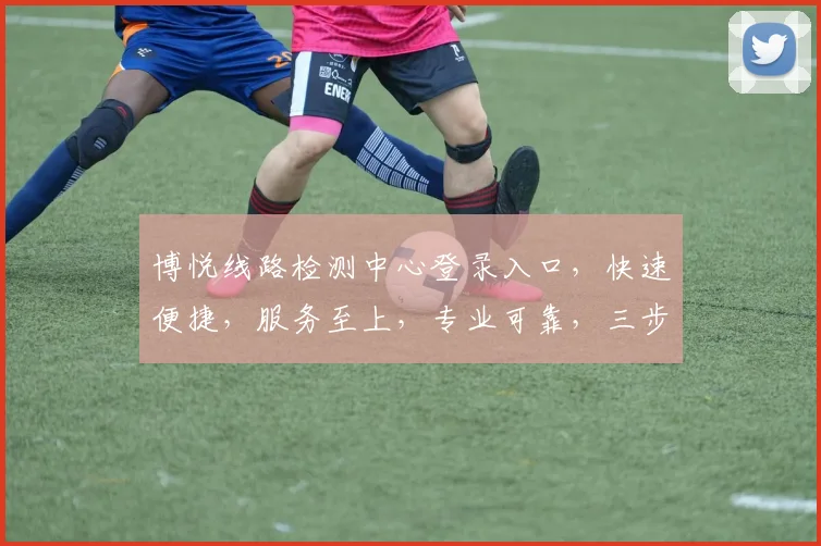 博悦线路检测中心登录入口，快速便捷，服务至上，专业可靠，三步轻松登录，安全保障