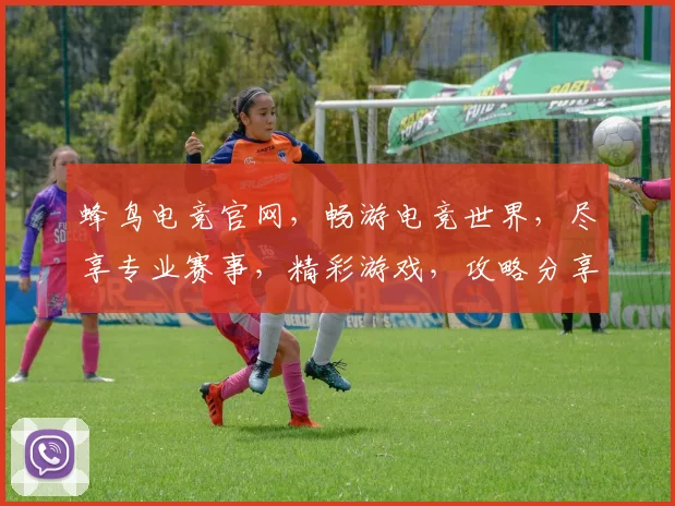 蜂鸟电竞官网，畅游电竞世界，尽享专业赛事，精彩游戏，攻略分享，一网打尽