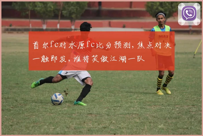 首尔fc对水原fc比分预测,焦点对决一触即发,谁将笑傲江湖一队